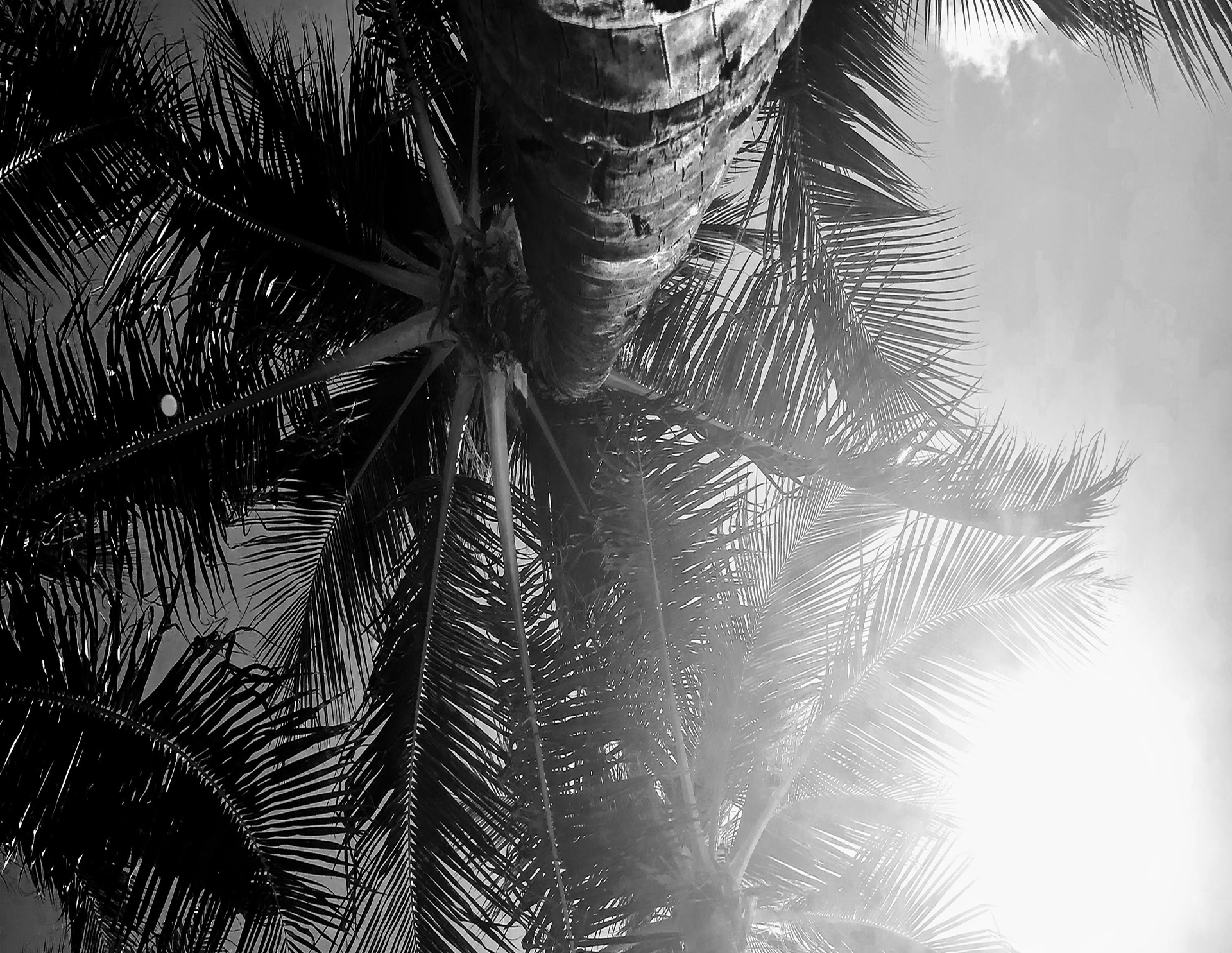 Testimonials background